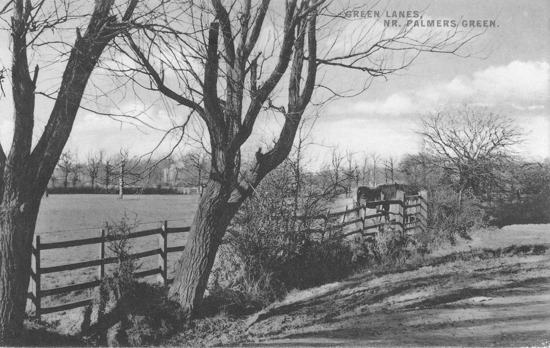 History Image 4